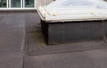 disadvantages of Gluvian flat roofs