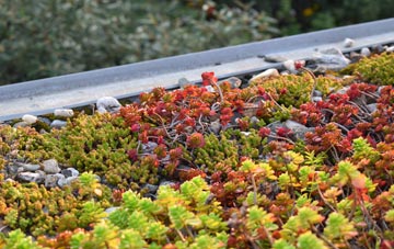 the cost of Gluvian green roof installation