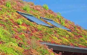 Gluvian living roof systems