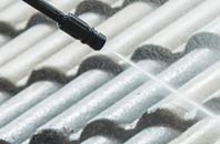 rated Gluvian roof cleaning companies