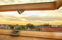 rated Gluvian roof window companies